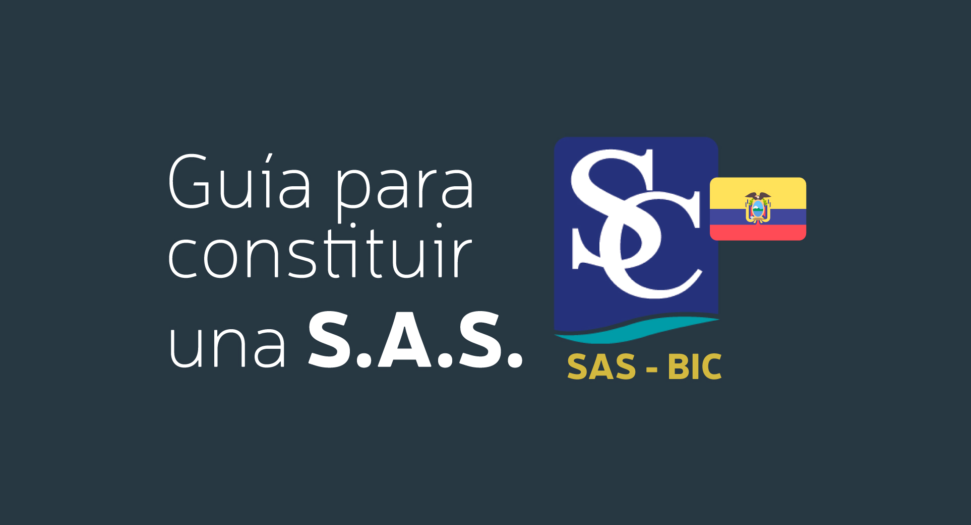 Plantillas para la constitución de una S.A.S. SAS Colombia